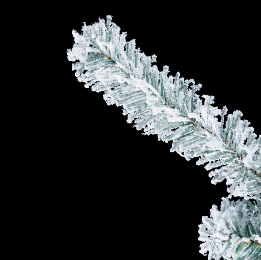 CATA Albero di Natale 150cm Premium WFLOCK