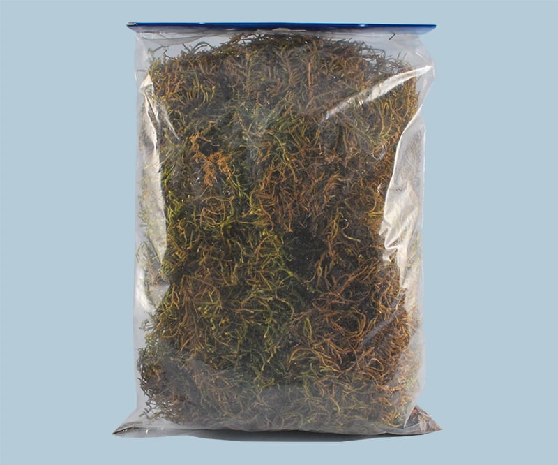 Carrefour Busta Muschio Tipo Soffice Gr.40