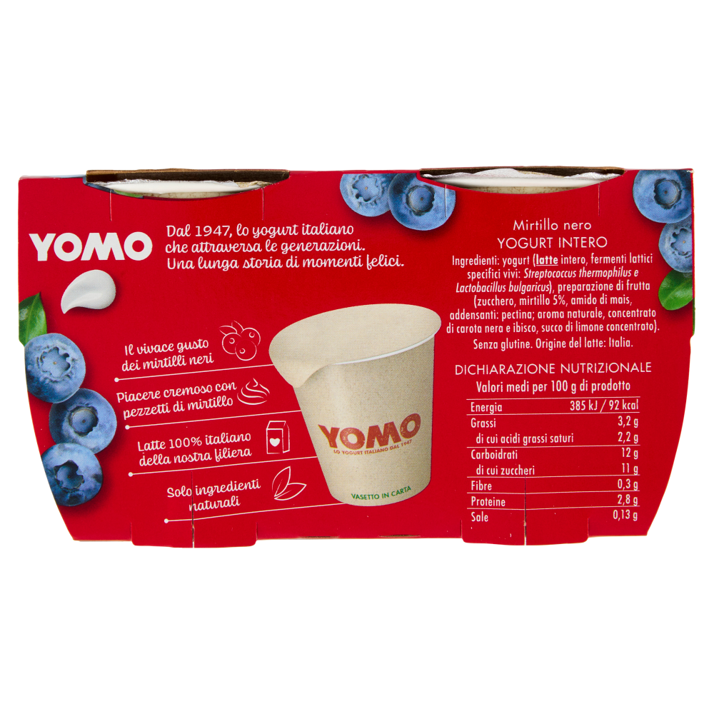 Yomo il Mirtillo nero 2 x 125 g