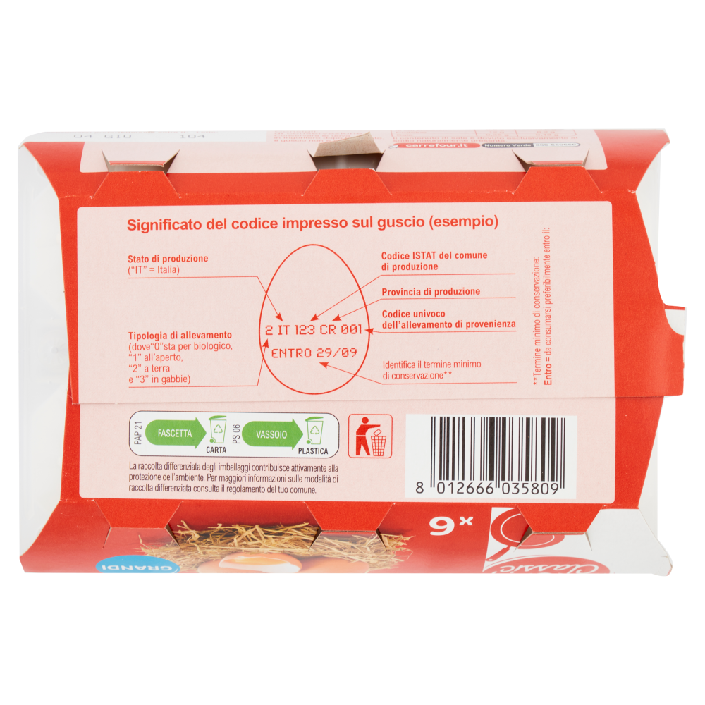 Carrefour Classic Uova Fresche da Galline Allevate a Terra Categoria A Grandi x6
