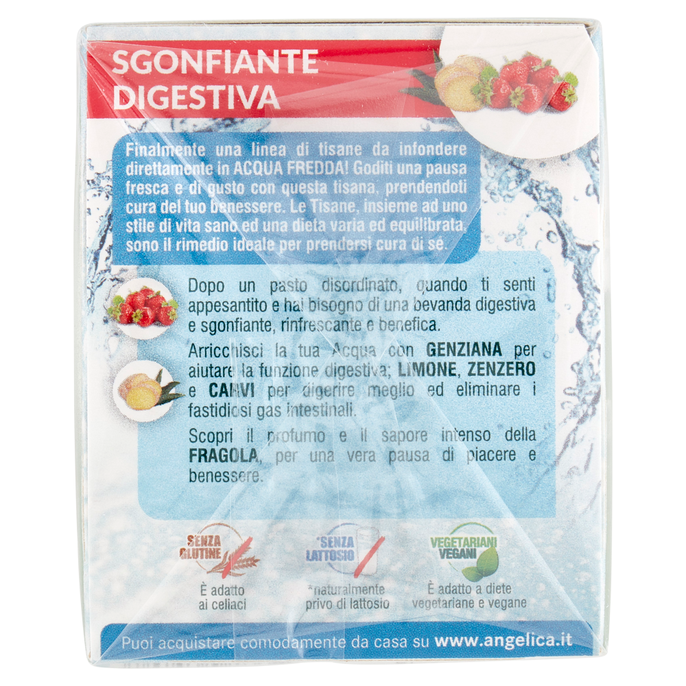 L'Angelica Tisana a Freddo Sgonfiante Digestiva 18 Filtri 39.6 g