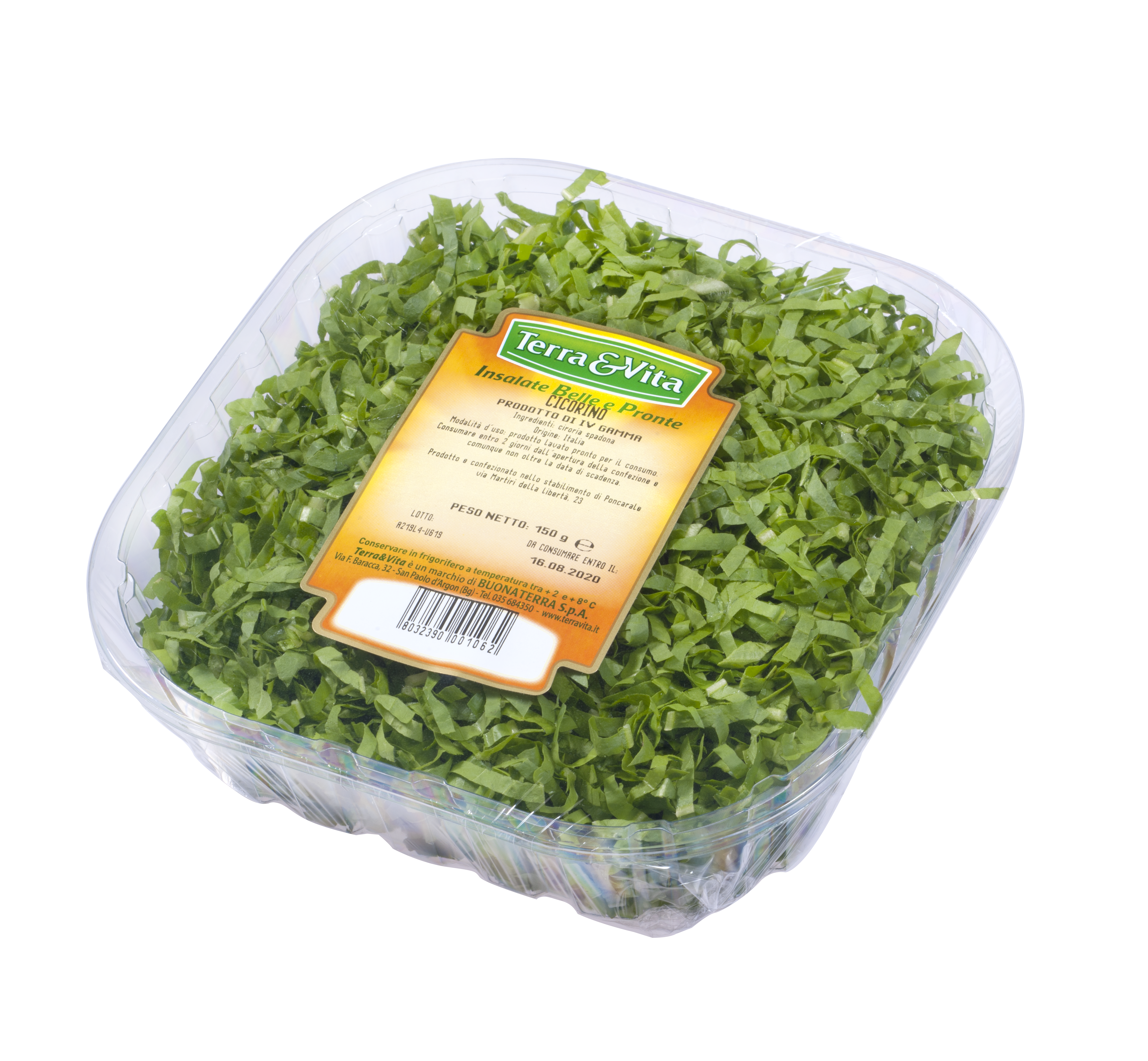 Cicorino tagliato e lavato