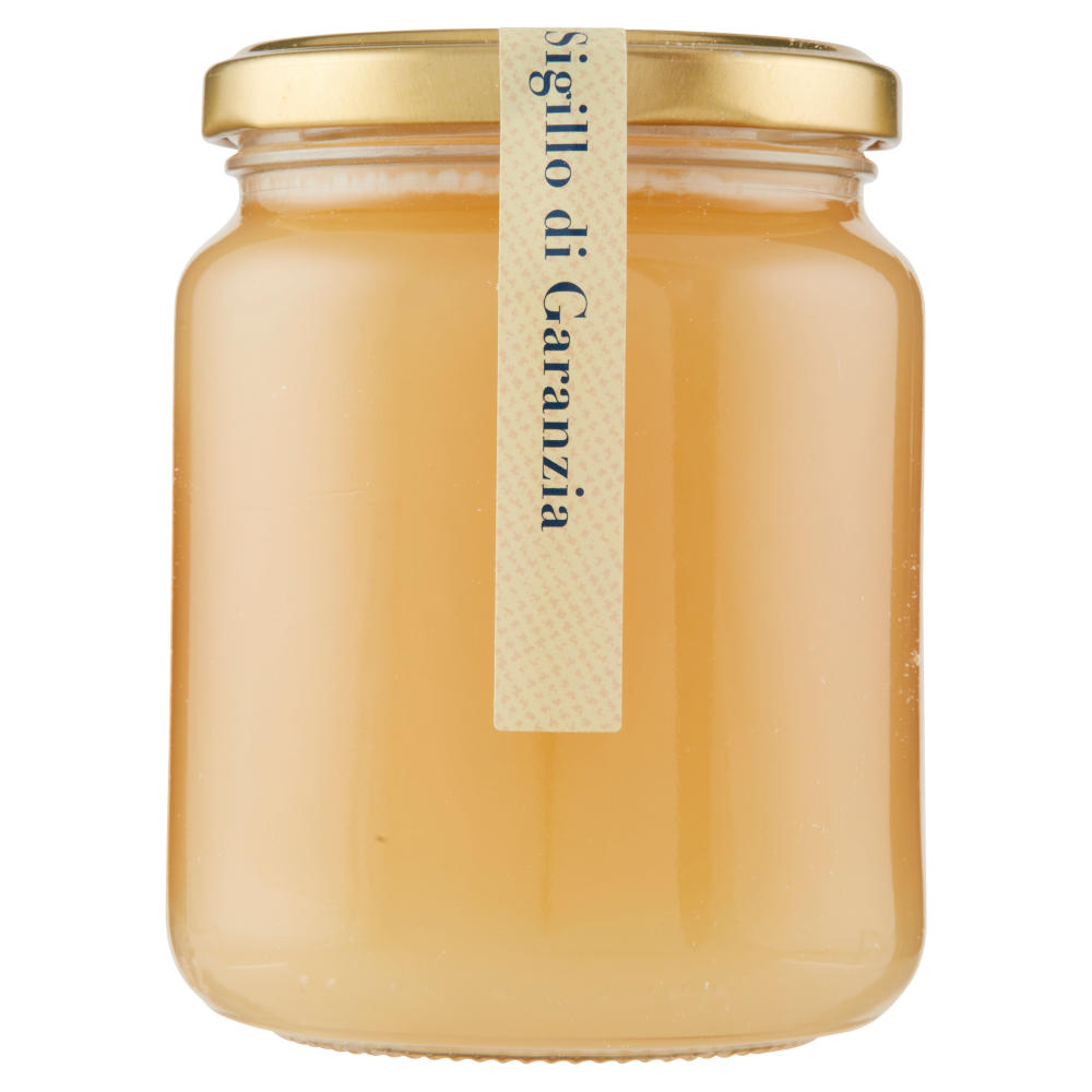 Terre d'Italia Miele di Arancio di Sicilia 500 g