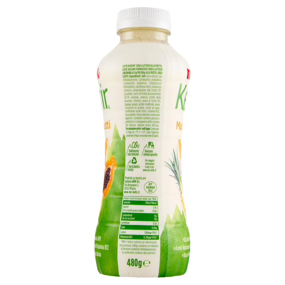 Milk Kefir Multifrutti 480 g