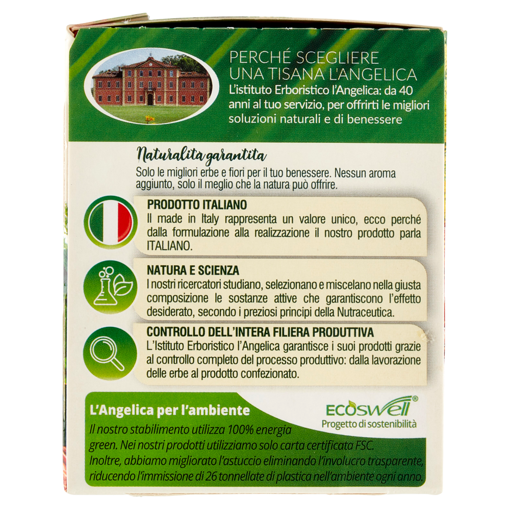 L'Angelica Le Tisane Ventre Piatto Active 18 Filtri 36 g