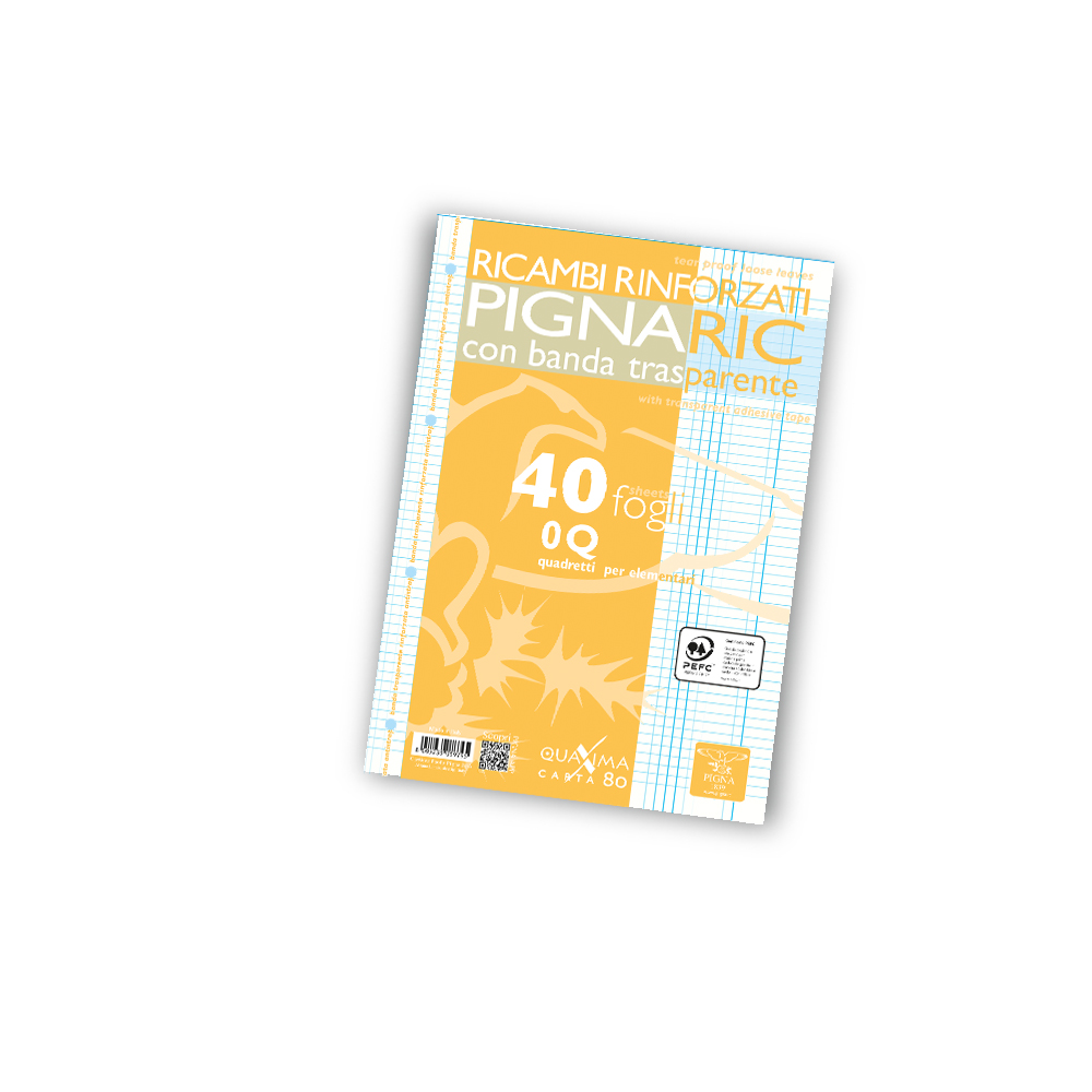 Pigna Ricambi Pignaric A4 con Banda Rinforzata 40 Fogli 80 gr