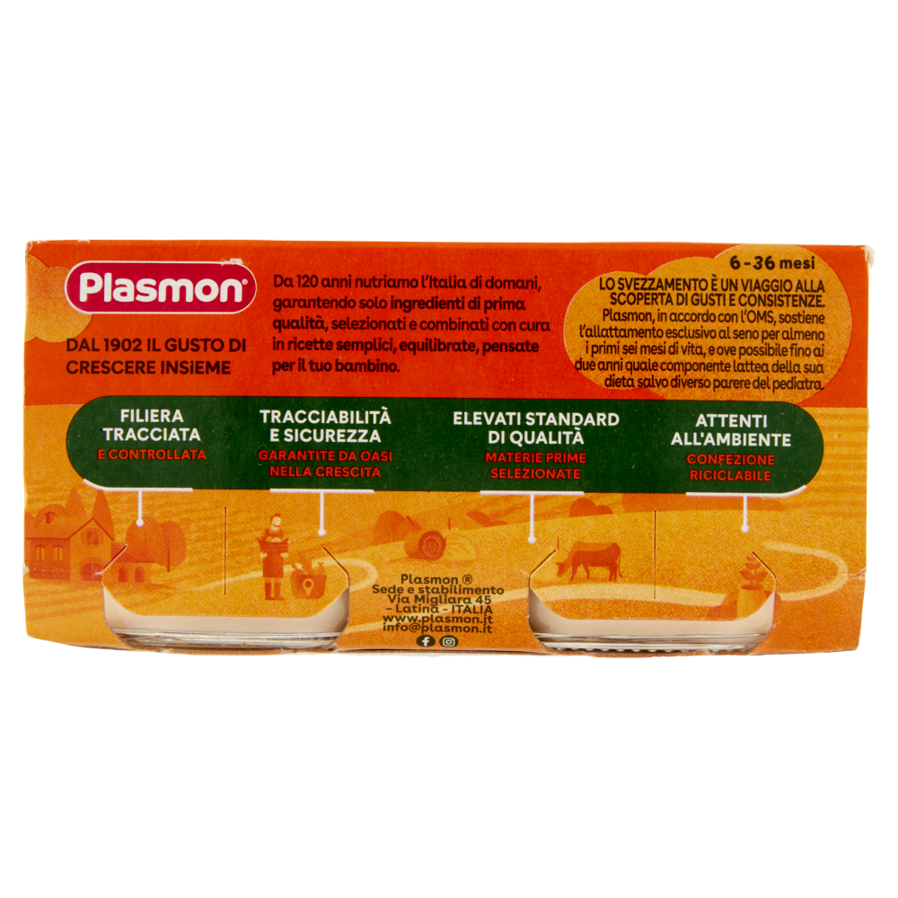 Plasmon Omogeneizzato Formaggino fuso con Parmigiano Reggiano 2 x 80 g
