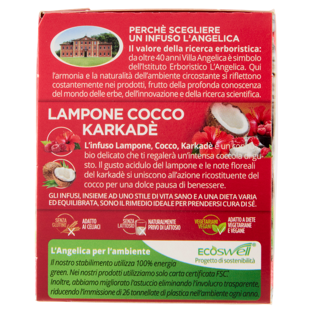 L'Angelica Passione di Frutta Lampone Cocco Karkadè 15 Filtri 28.5 g