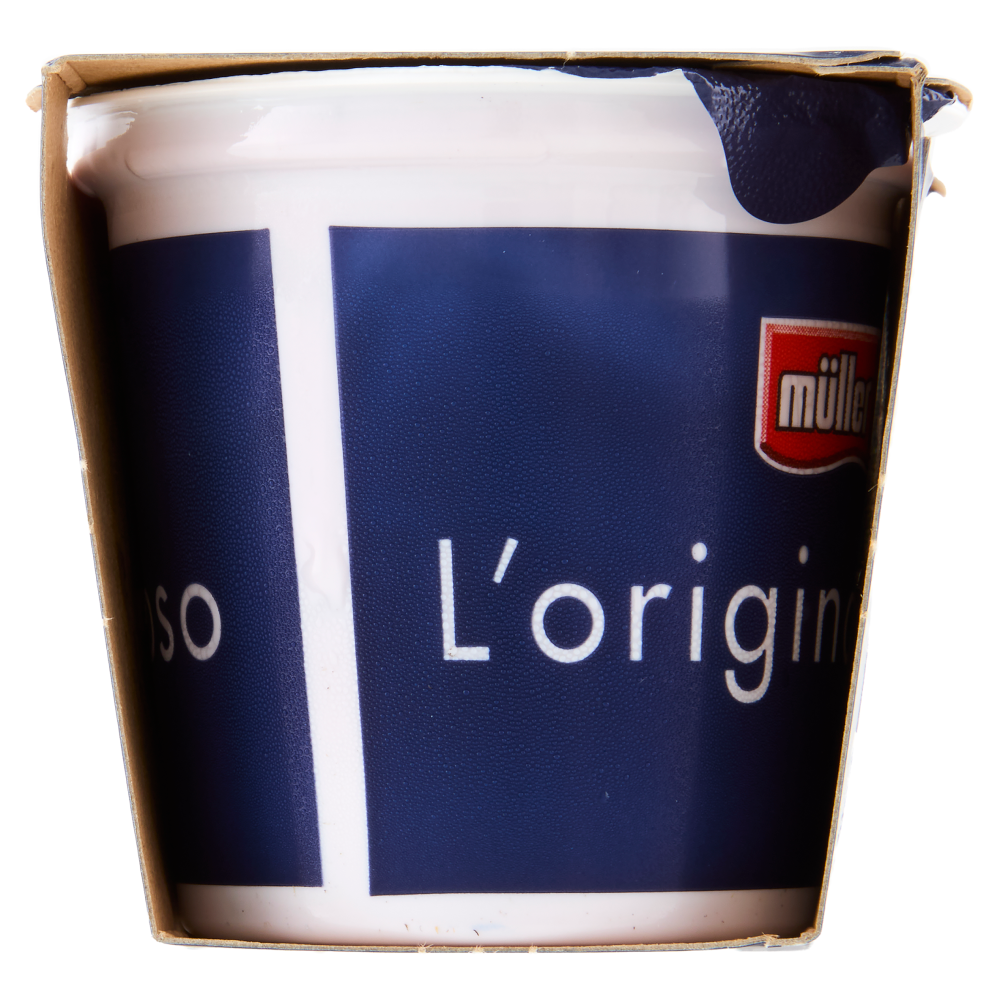 müller Yogurt Cremoso Mirtillo in Pezzi 2 x 125 g