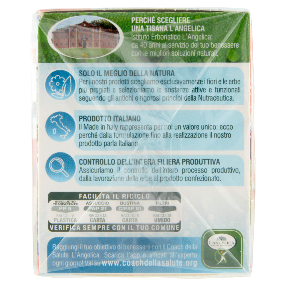 L'Angelica Tisana a Freddo Drena Detox 18 Filtri 36 g