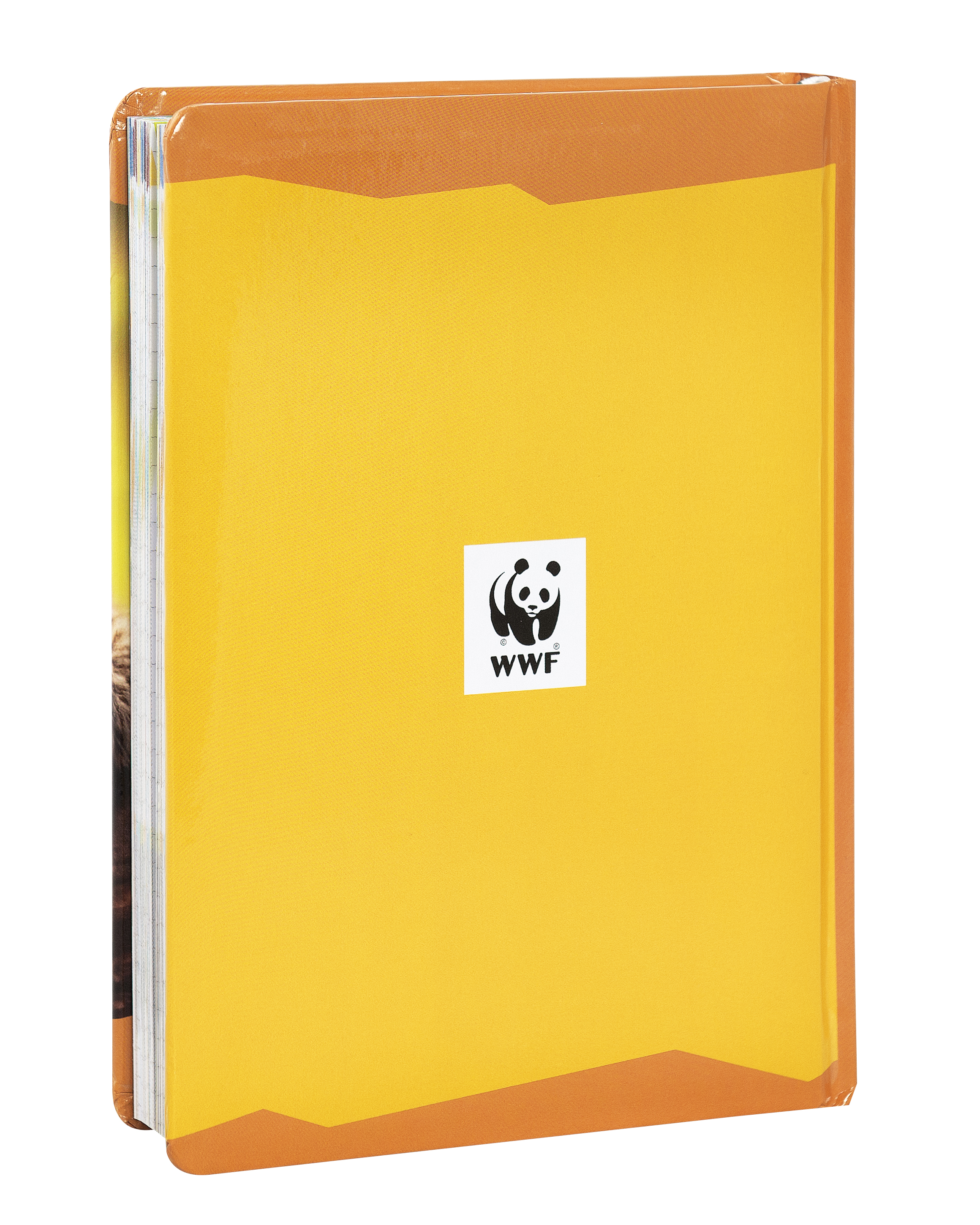 Carrefour 8058263229227 Diario Diario scolastico