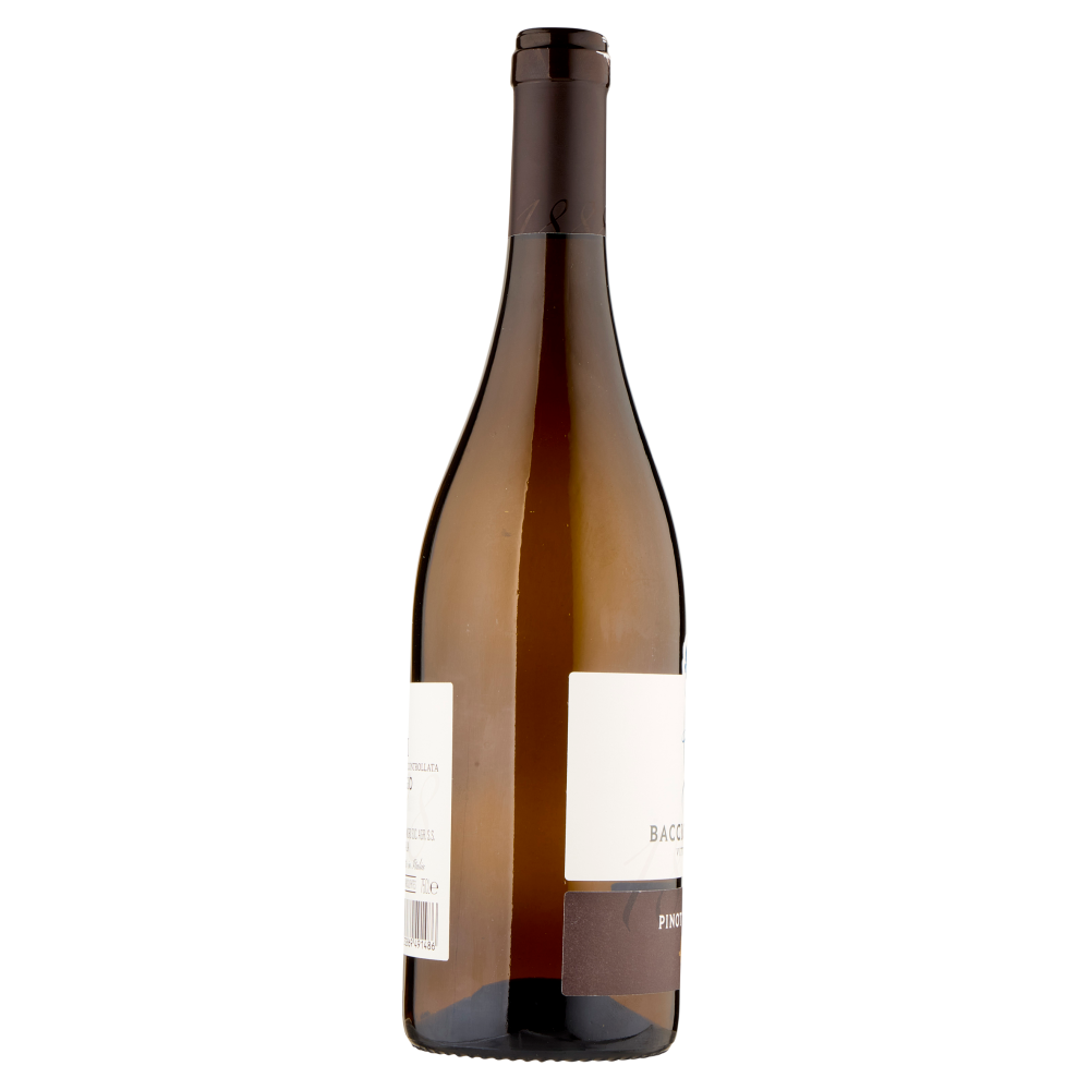 Baccichetto Vittorino Pinot Grigio Friuli DOC 75 cl