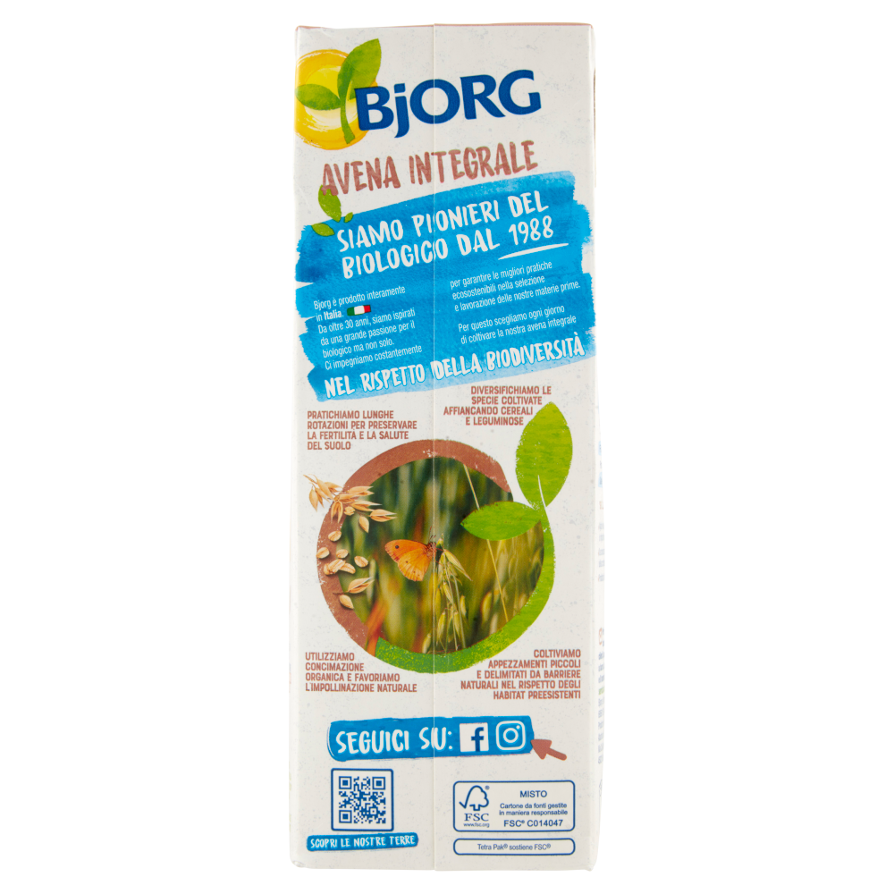 BJORG Avena Integrale Bevanda Vegetale Biologica, Senza Zuccheri Aggiunti, Prodotto in Italia, 1L