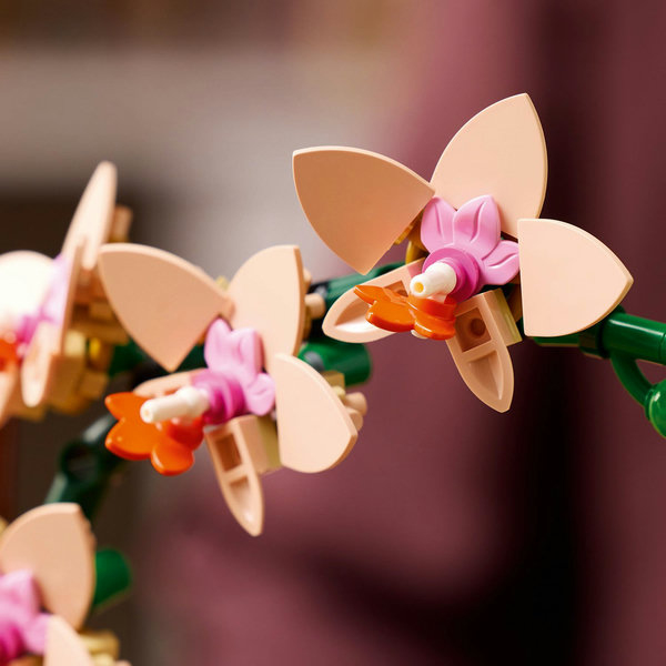 LEGO Botanicals Mini-orchidea