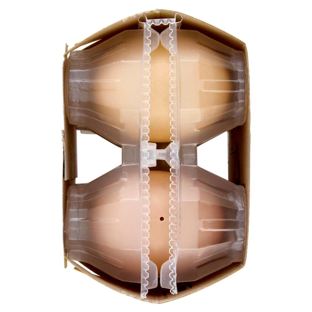 Ovito Fresche 6 Uova Fresche Medie da Allevamento a Terra