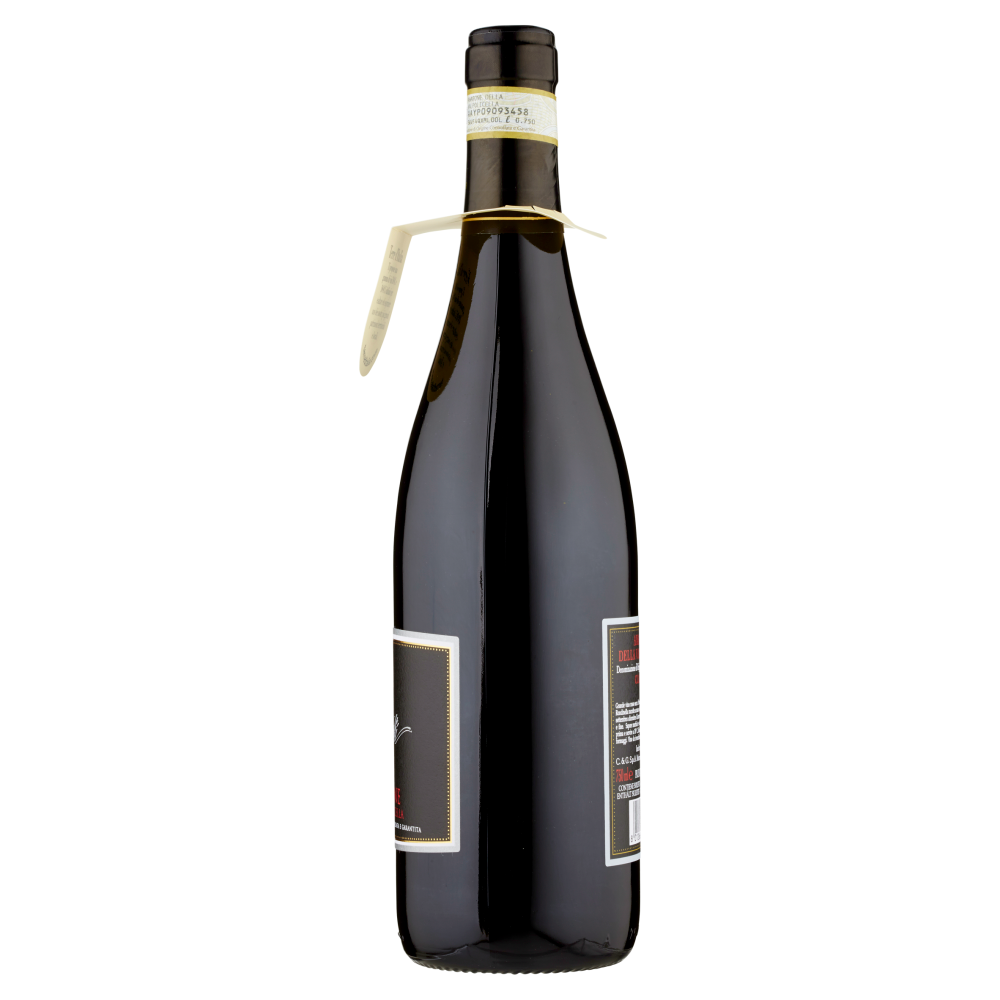 Terre d'Italia Villa Mondi Amarone della Valpolicella DOCG Classico 750 ml