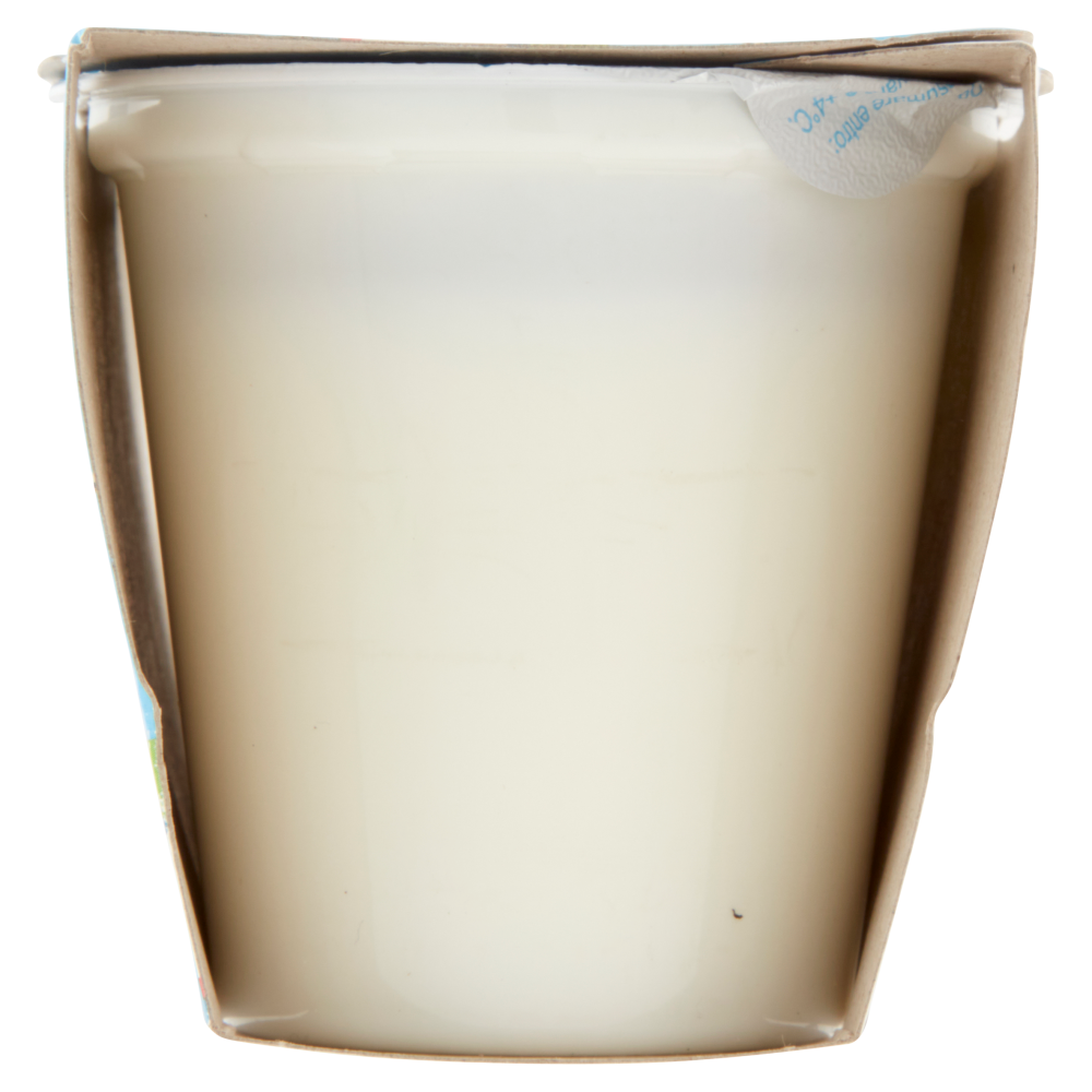 Carrefour Classic Yogurt Magro Bianco 2 x 125 g