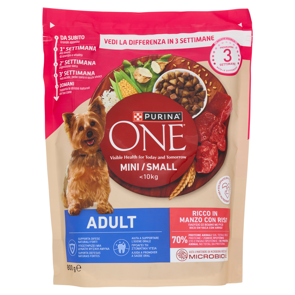 PURINA ONE Mini/Small Adult Manzo e Riso 800 g