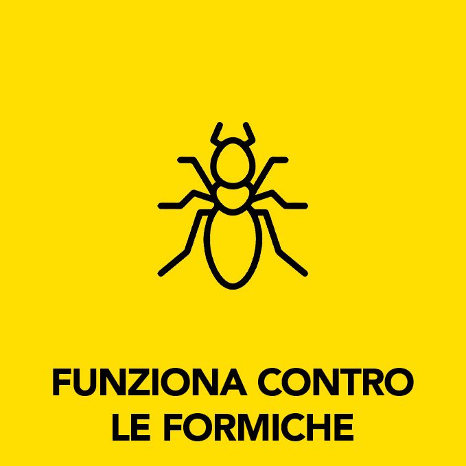 Raid Esca Formiche, Pronta all'Uso, Confezione da 1 Esca Insetticida per Uso in Spazi Interni ed Esterni