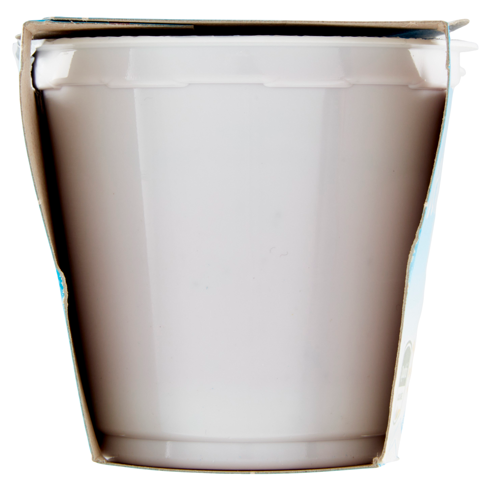 bella vita free Yogurt Magro Senza Lattosio Zero Grassi More e Mirtilli 2 x 125 g