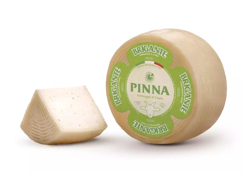 Brigante di capra Pinna da banco