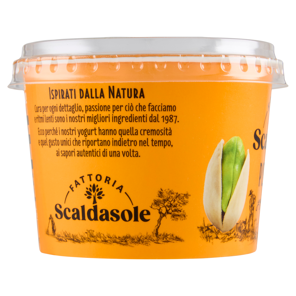 Fattoria Scaldasole Pistacchio yogurt biologico 250 g