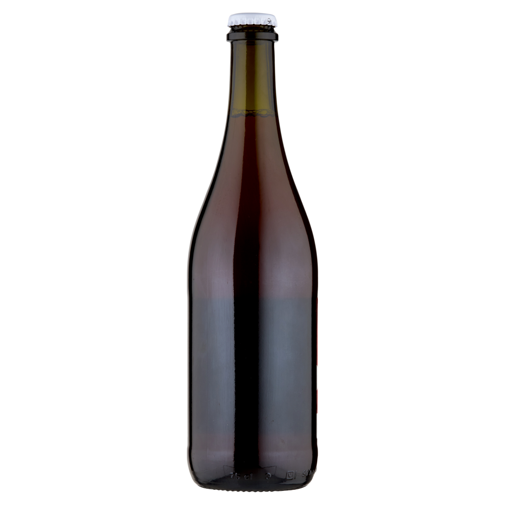 La Morosina Birra Agricola Ticinensis Birra di Natale 75 cl