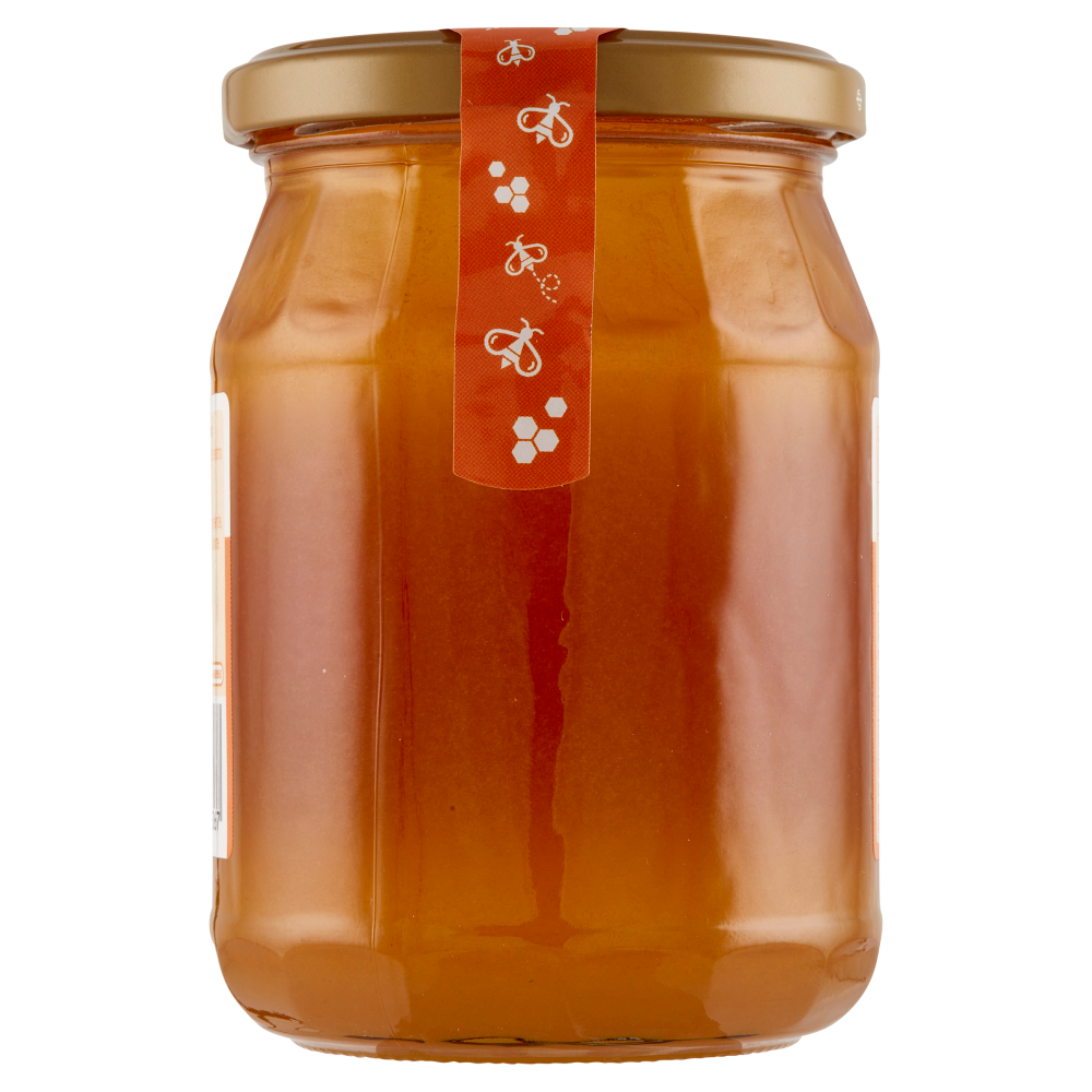 Carrefour Classic Miele di Arancio 500 g