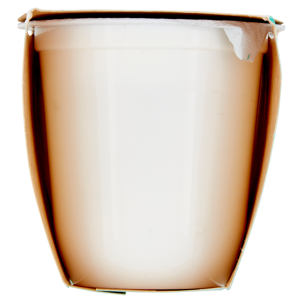 Granarolo Yogurt Cremoso al limone 2 x 125 g