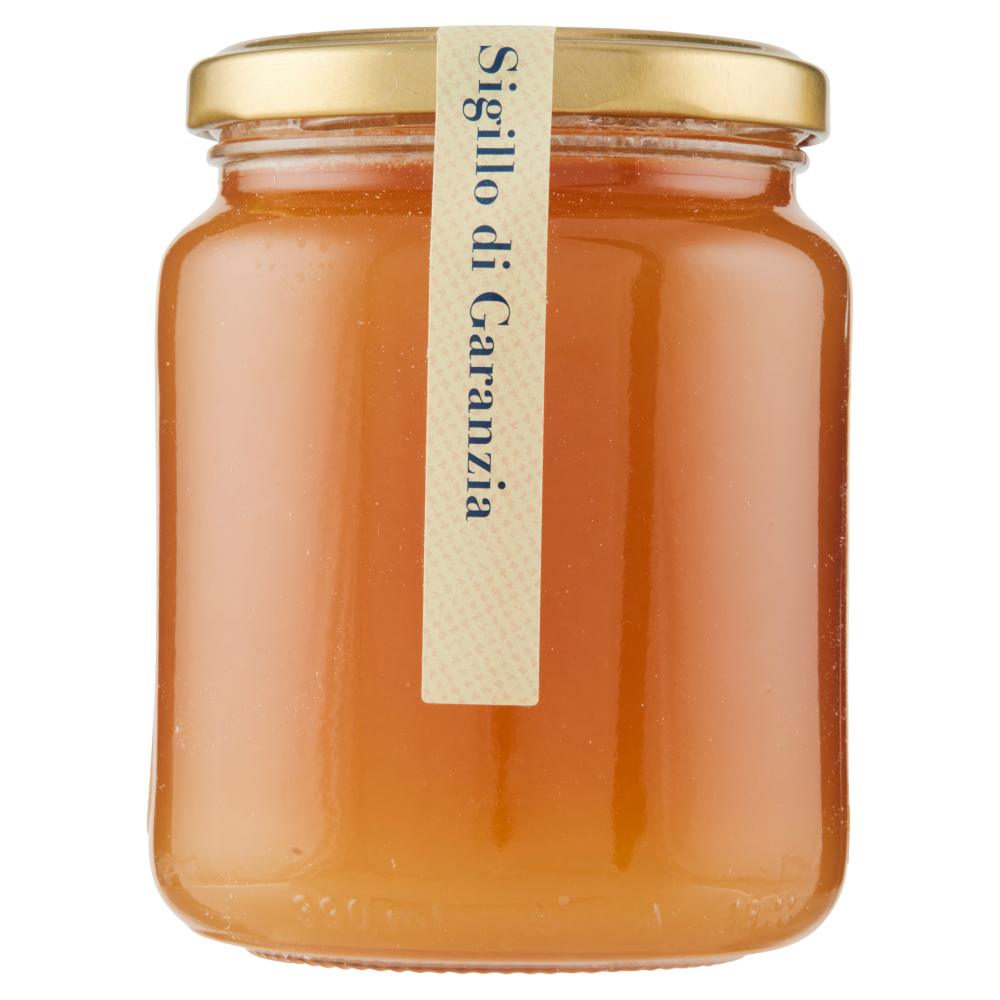 Terre d'Italia Miele di Eucalipto di Calabria 500 g