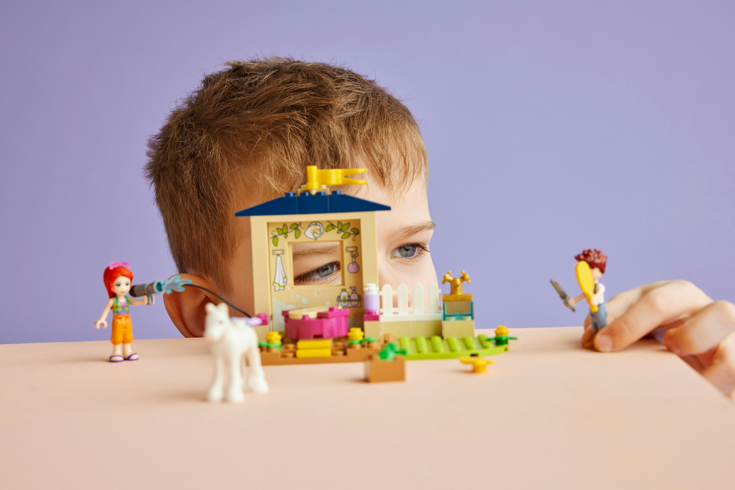 LEGO Friends Stalla di toelettatura dei pony