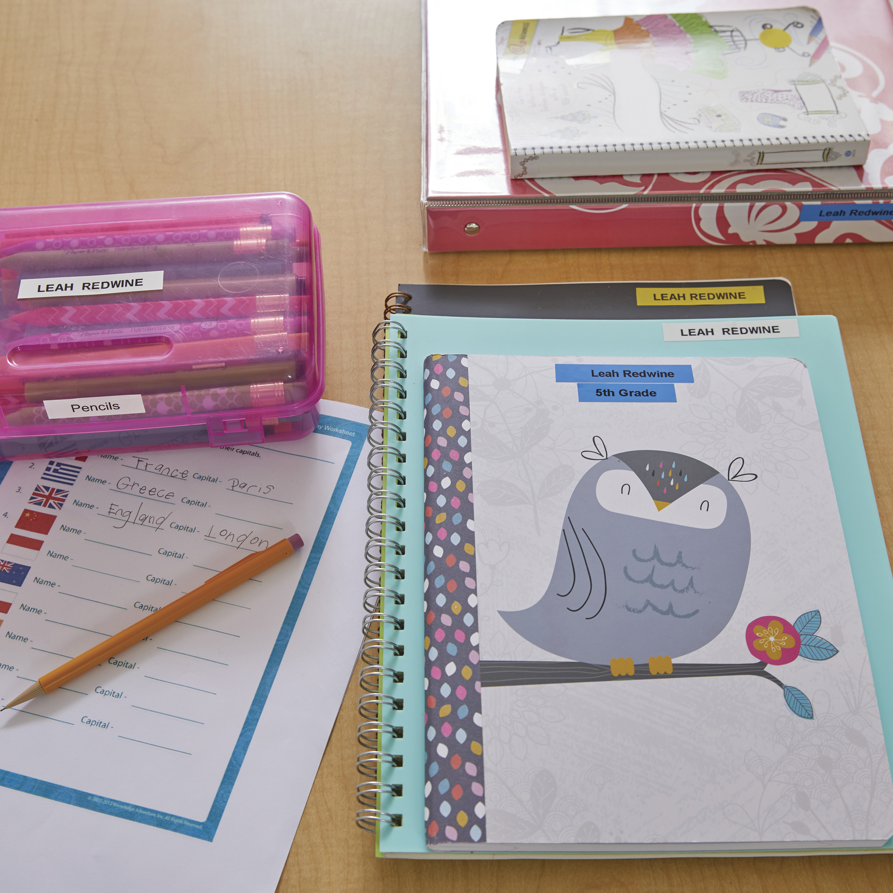 DYMO LetraTag LT-100T Etichettatrice | Macchina etichettatrice palmare | Tastiera ABC / Display LCD a 13 caratteri | Ideale per casa o ufficio