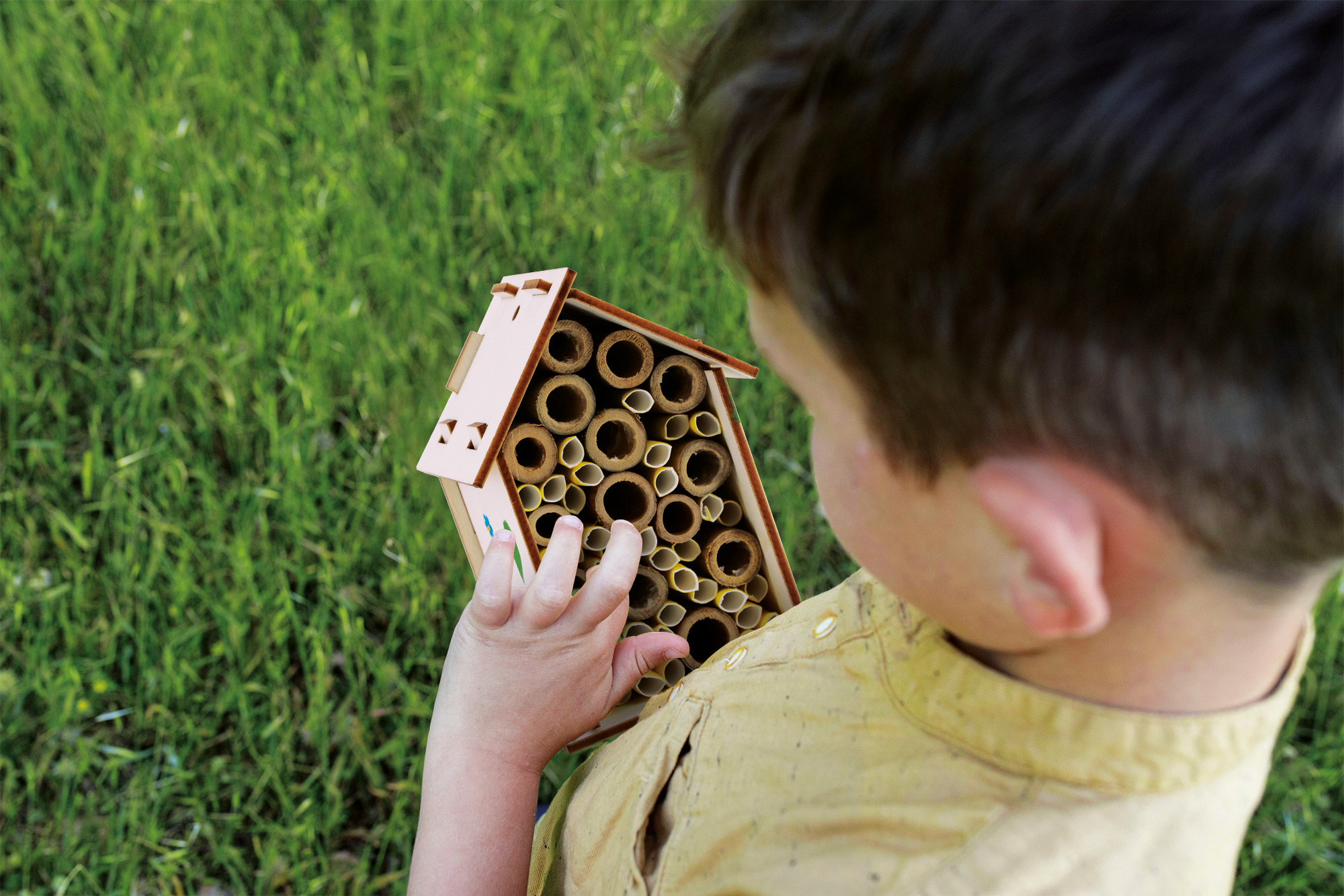 Lisciani I’m A Genius Laboratorio Delle Api