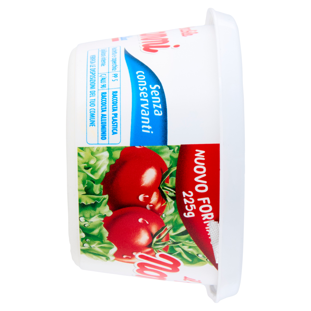 Nonno Nanni il fresco spalmabile 225 g