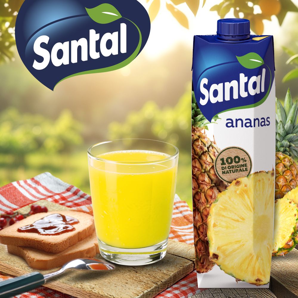 Santal Succo di Frutta Ananas 1000 ml