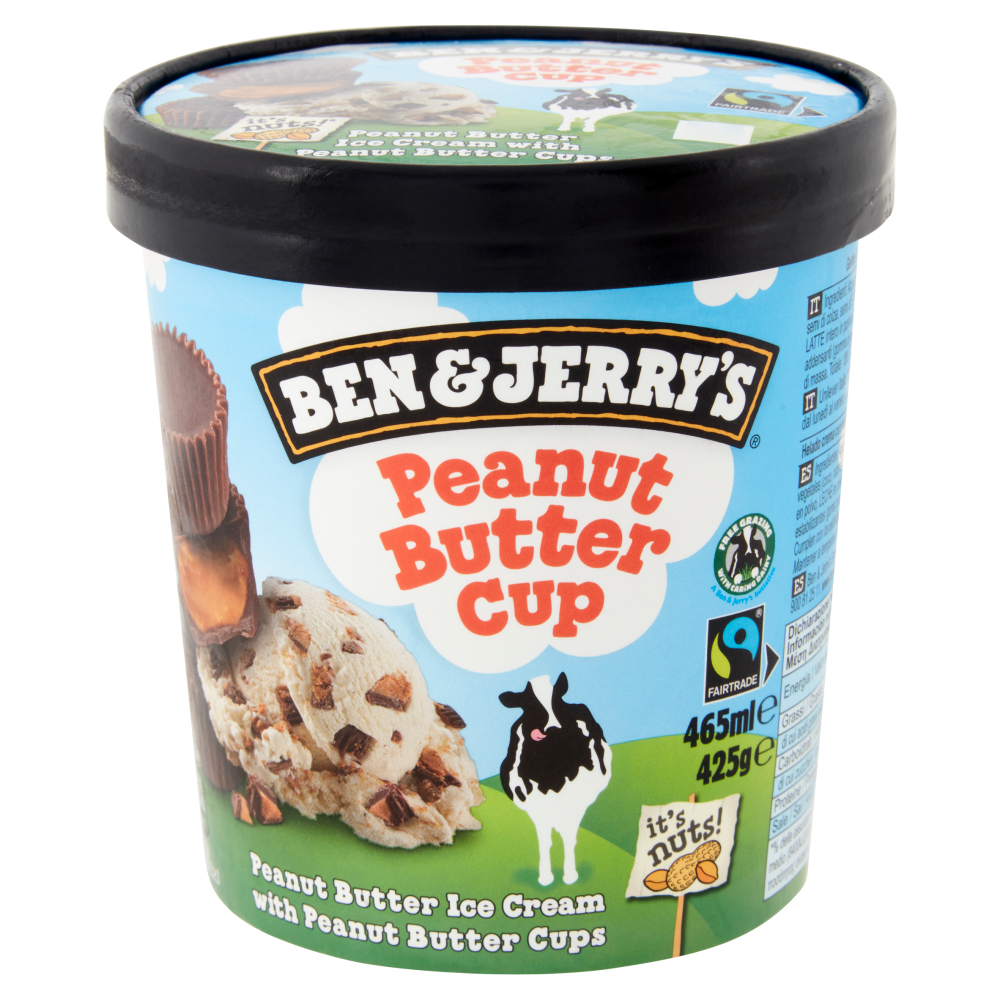 Ben & Jerry's Peanut Butter Cup 425 g