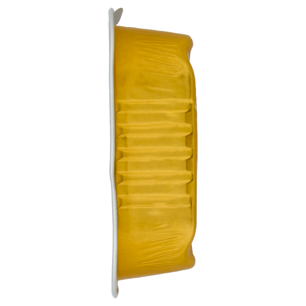 Simpl Terrina con Pesce 100 g