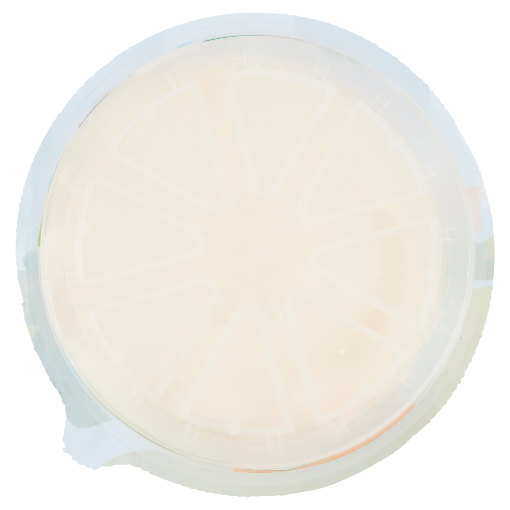 Conrado il Primosale 180 g