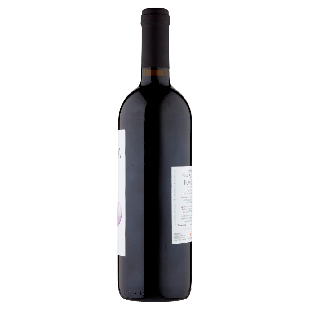 Cantina Valtidone viti&vini Colli Piacentini D.O.C. Bonarda Vino Frizzante 0,75 l