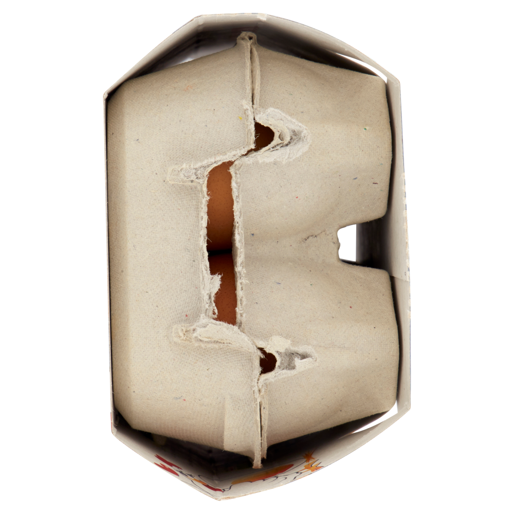 Fantolino Delicate Extra Fresche 6 Uova Fresche da Allevamento a Terra Taglia L