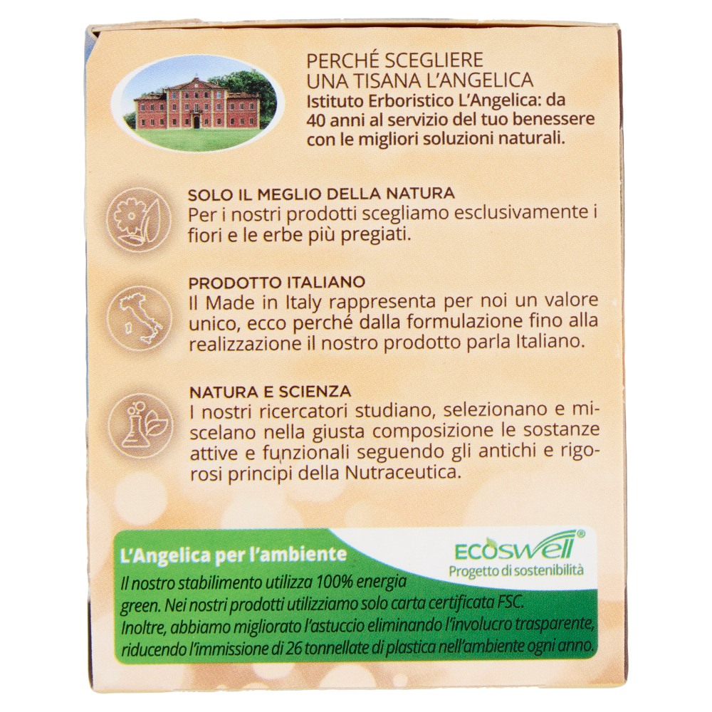 L'Angelica Passioni d'inverno al Gusto di Strudel di Mele 15 Filtri 27 g