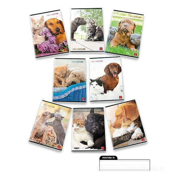 Pigna 8005235100411 quaderno per scrivere A4 42 fogli Multicolore