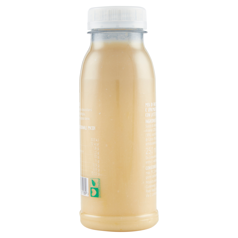 F.lli Orsero Frutta da Bere Cocco Ananas 250 ml