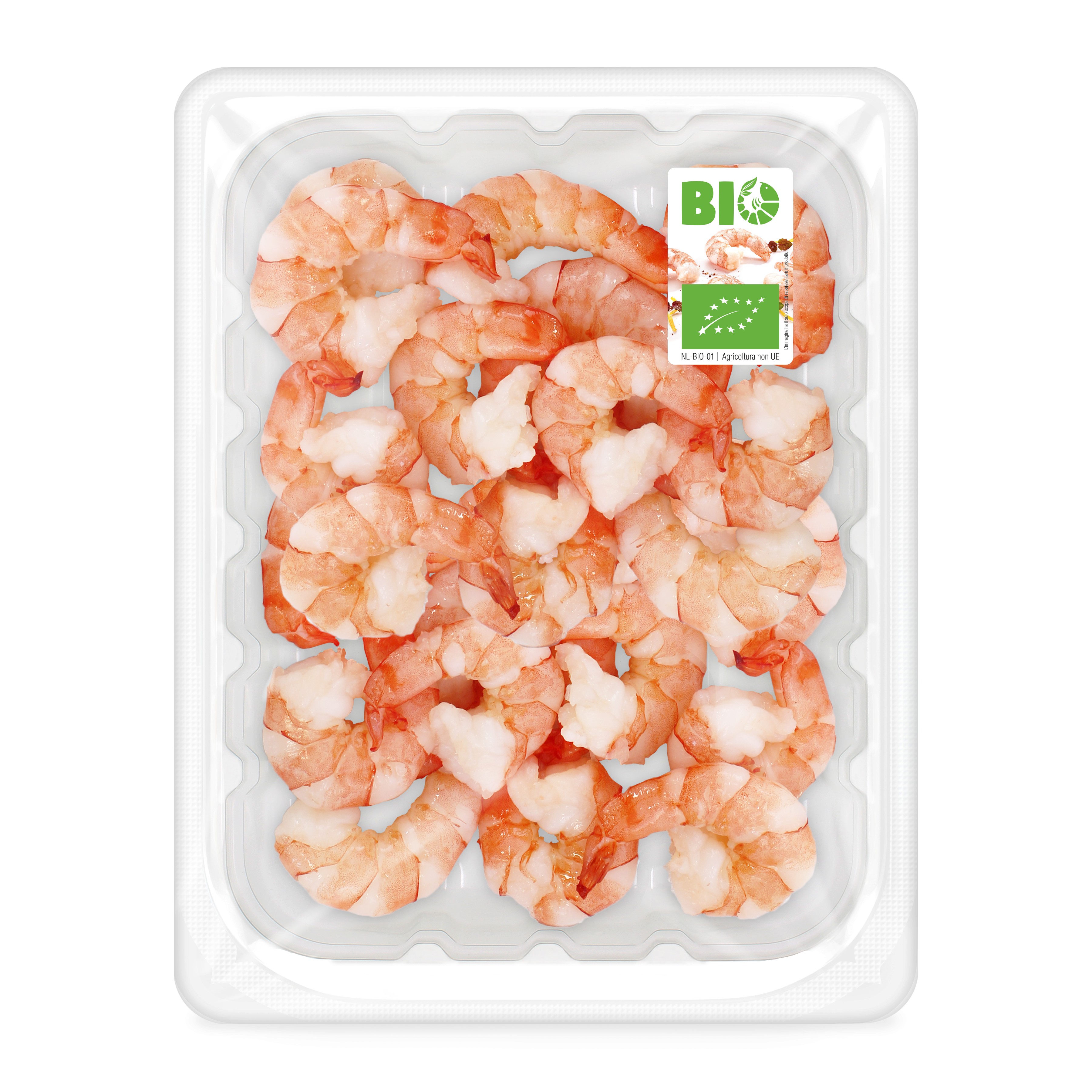 Gamberi Giganti Indopacifici