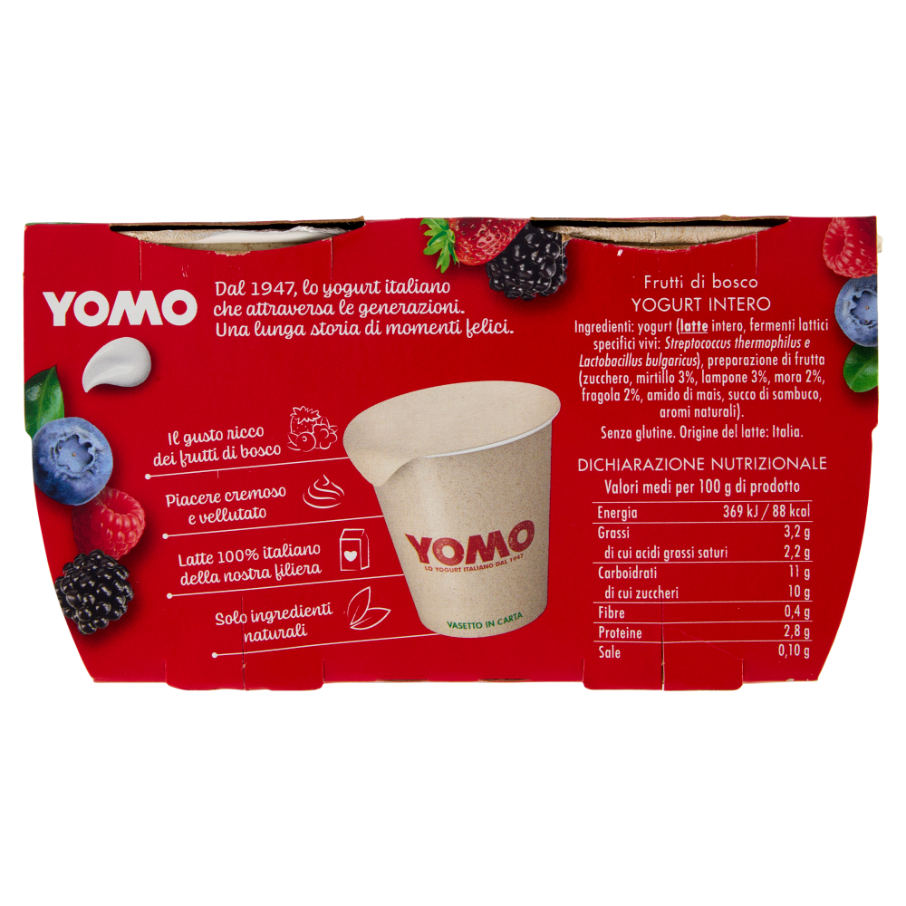 Yomo i Frutti di bosco 2 x 125 g