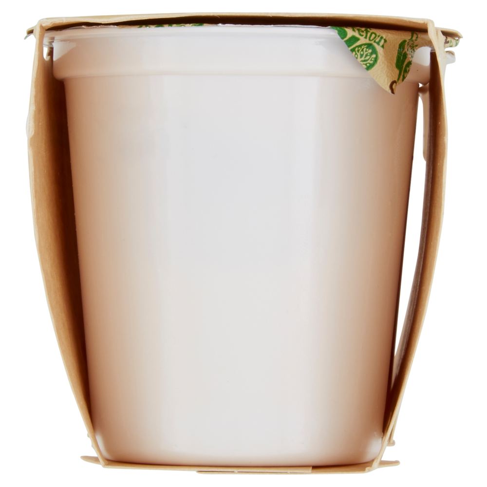 Carrefour Bio SoySì Pesca 2 x 125 g