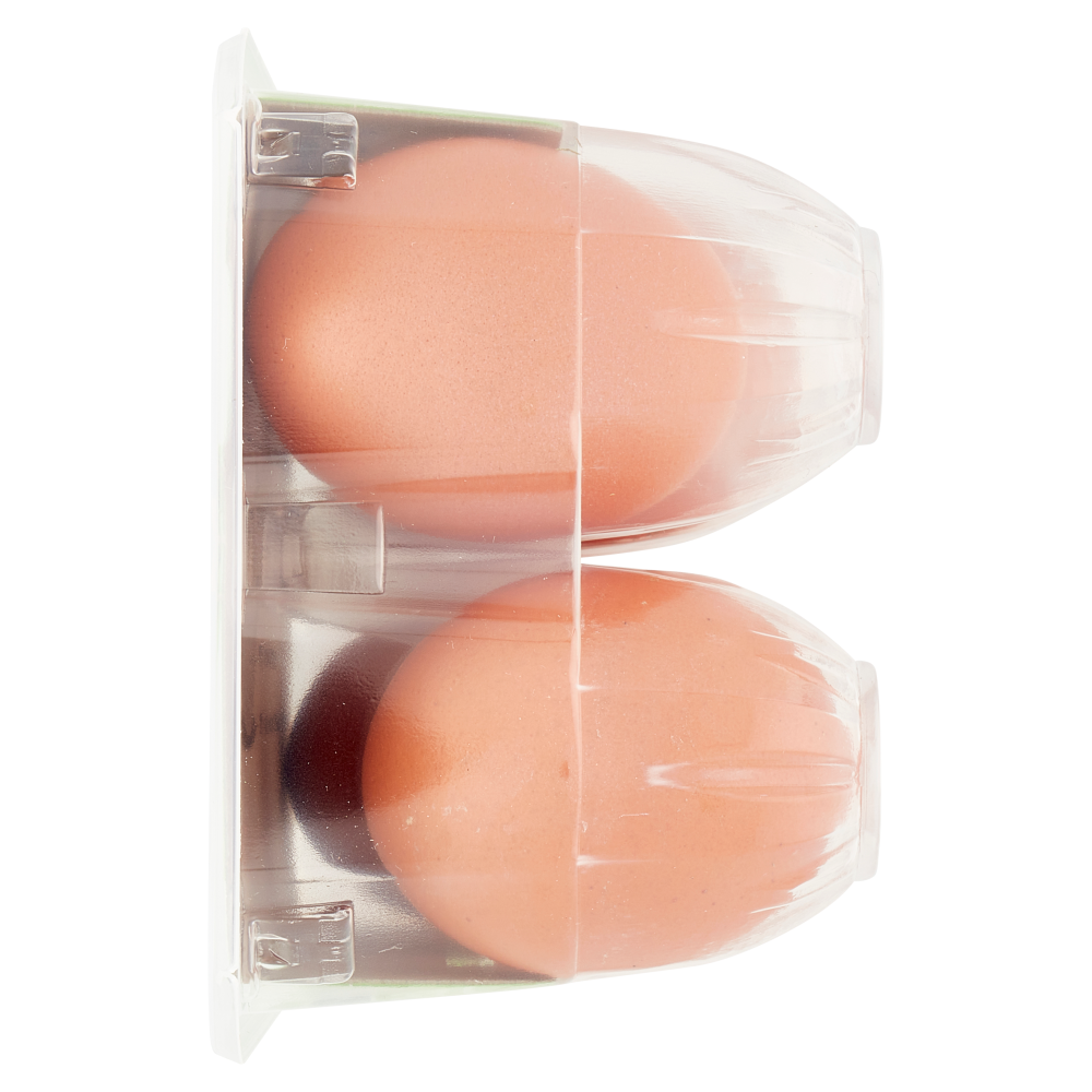 Coccodì Big 6 Uova Fresche XL da allevamento a Terra