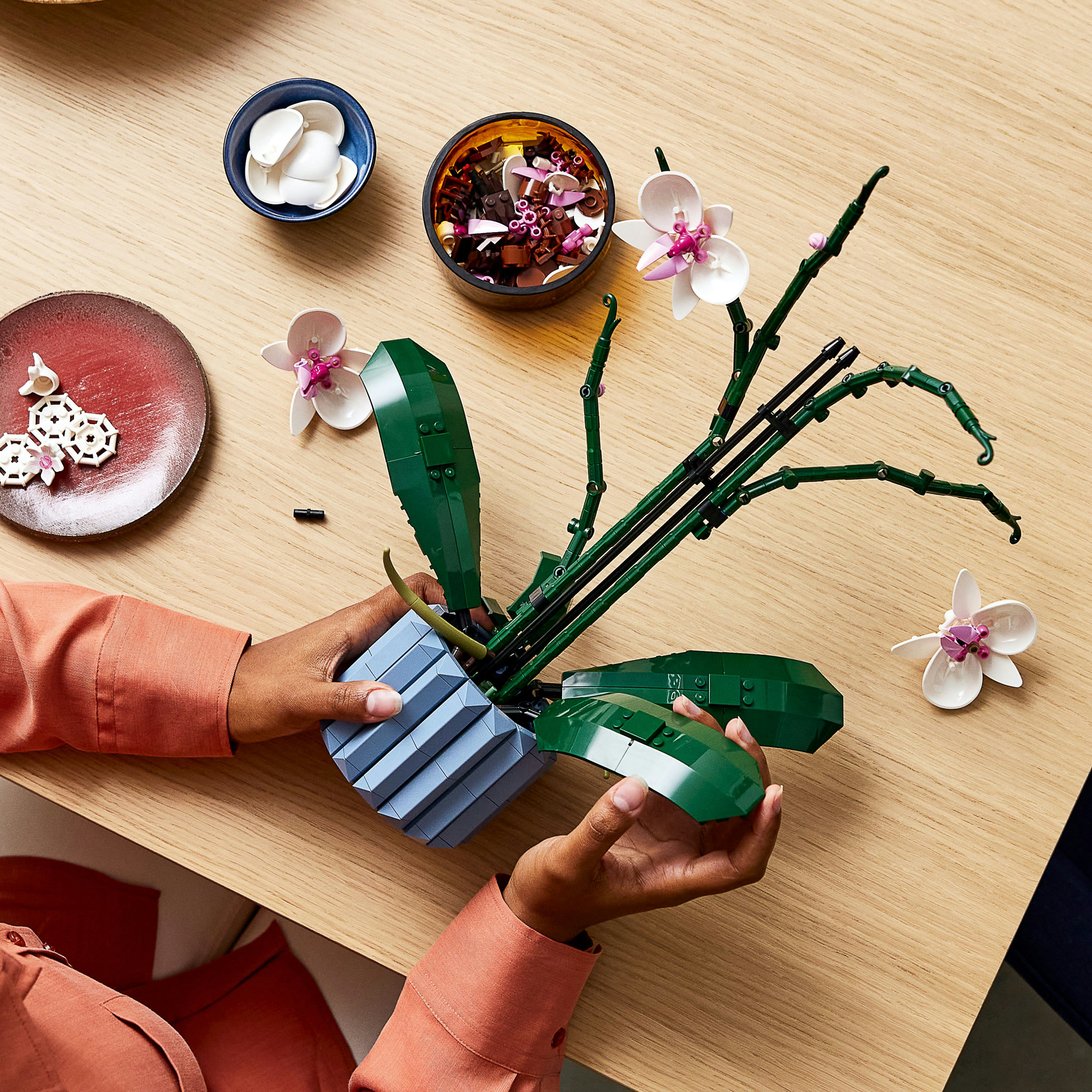LEGO Botanicals Orchidea