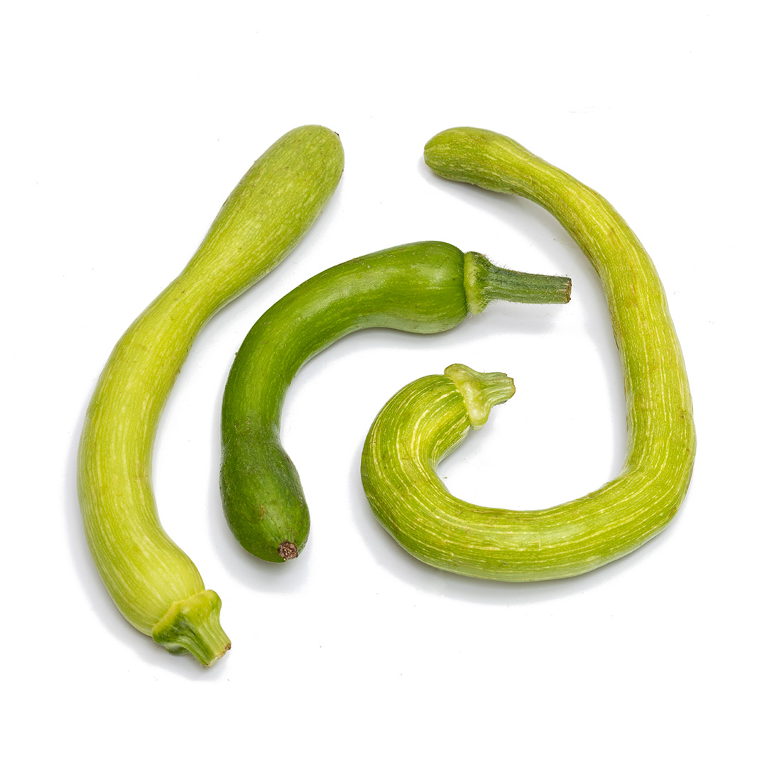 Zucchine Trombetta di Origine Locale