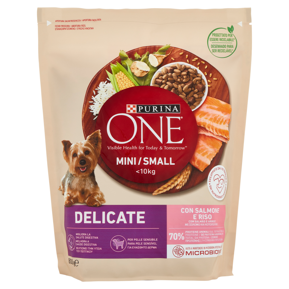 PURINA ONE Mini/Small Delicate Salmone e Riso 800 g